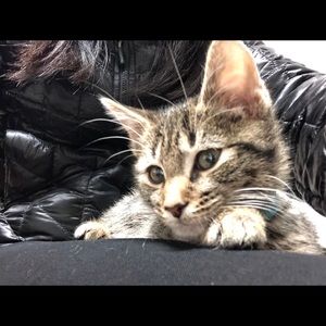 Meet your Posher, Caryn